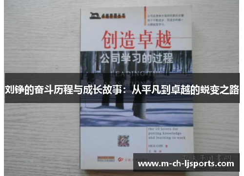 刘铮的奋斗历程与成长故事：从平凡到卓越的蜕变之路